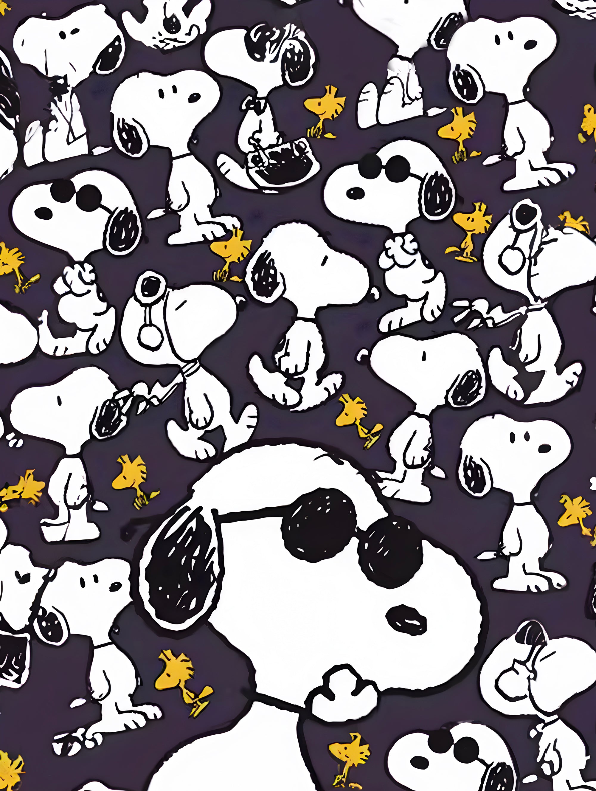 Tableau Snoopy Cool Pattern - Décoration Murale Originale - Fabulartz.fr