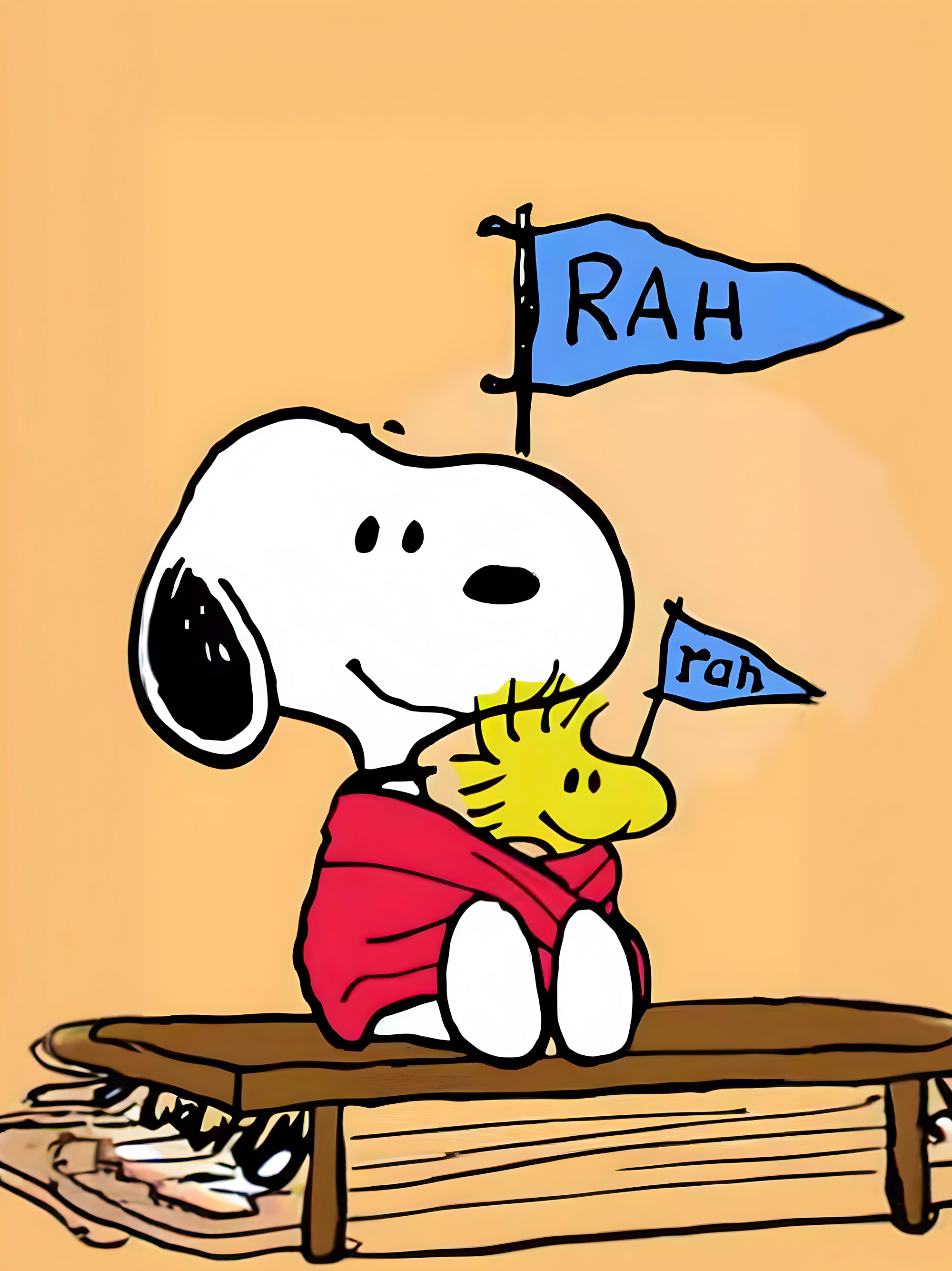 Tableau Snoopy Cheerleader - Déco Murale - Fabulartz.fr