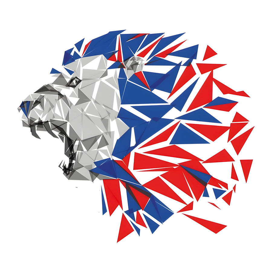 Tableau Olympique Lyonnais - Lion Design