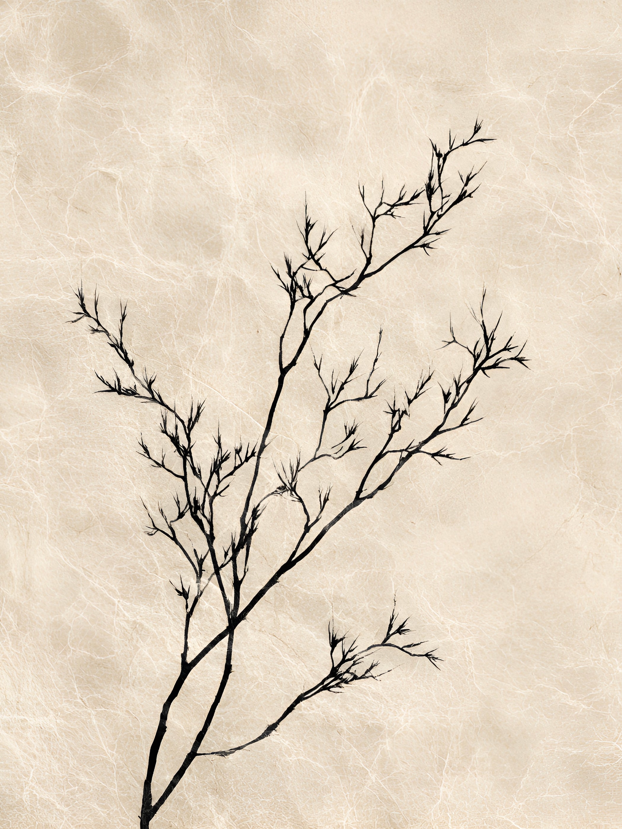 Tableau Japandi Branche Zen – Épure Naturelle