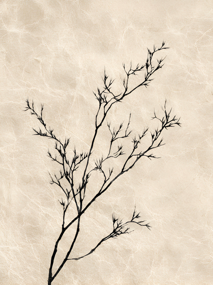 Tableau Japandi Branche Zen – Épure Naturelle