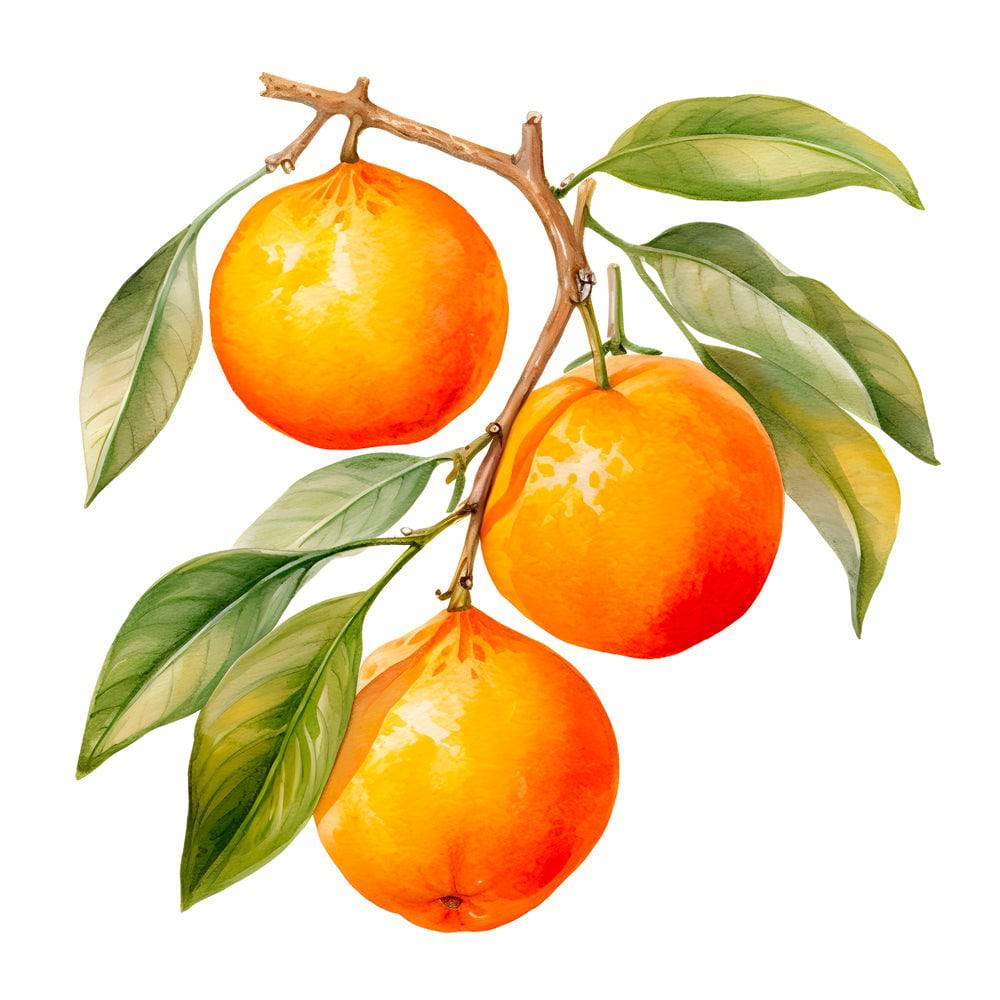 Cadre Cuisine Design - Oranges Suspendues - Fabulartz.fr