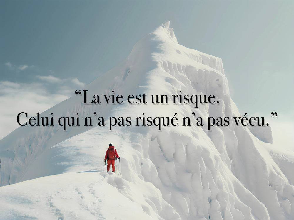 La Vie Est Un Risque | Tableau Ascension Montagne Motivation - Fabulartz.fr
