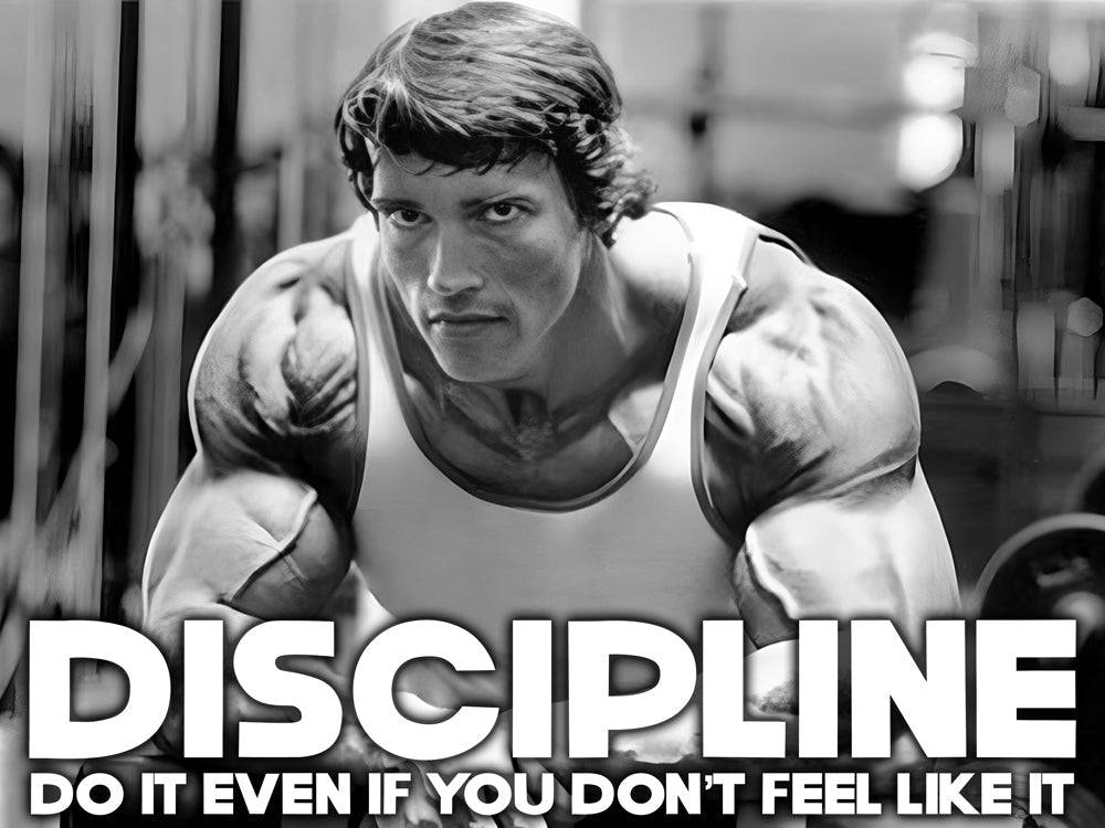 Muscle and Discipline | Tableau Arnold Schwarzenegger Motivation - Fabulartz.fr 