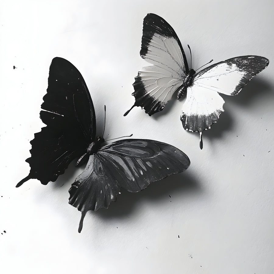 Quadro di farfalle in bianco e nero - Elegante decorazione murale