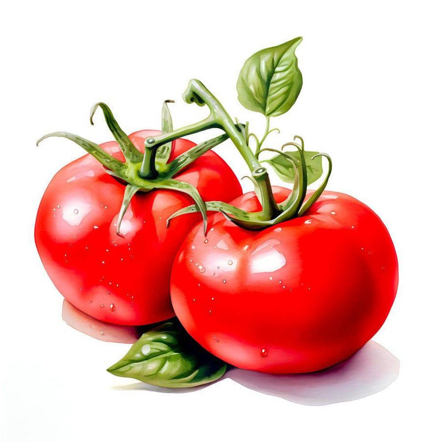 Tableau Cuisine "Tomates Rouges" - Cadre Déco Moderne