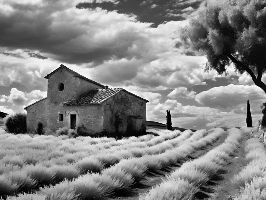 Pittura Spagna Casa Vite - Decorazione murale rustica
