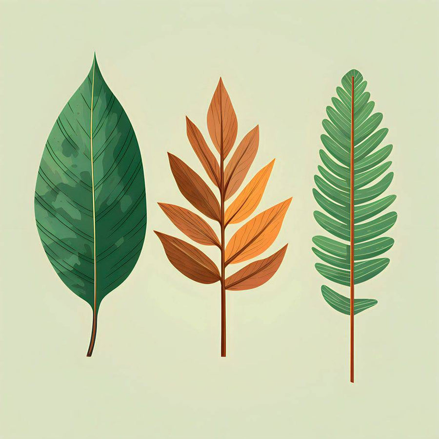 Quadro scandinavo Sérénité Foliaire - Decorazione murale rilassante